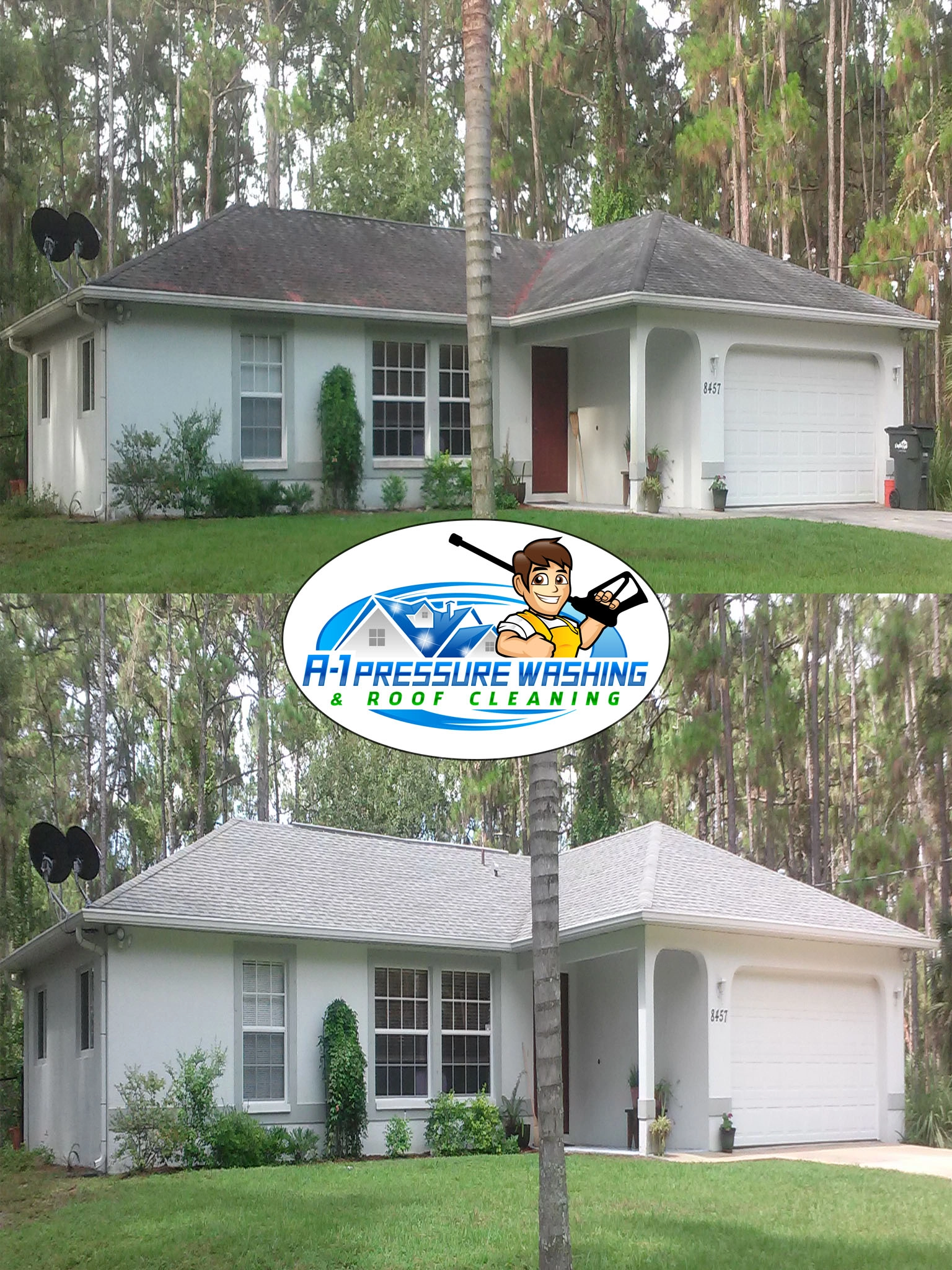 Shingle Roof Cleaning Services | A-1 Pressure Washing & Roof Cleaning